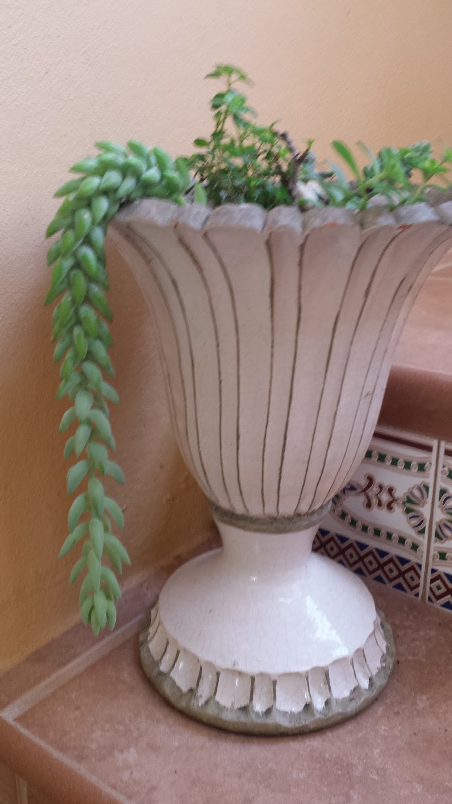 Desde La Cordillera: Mi Jardín Interior